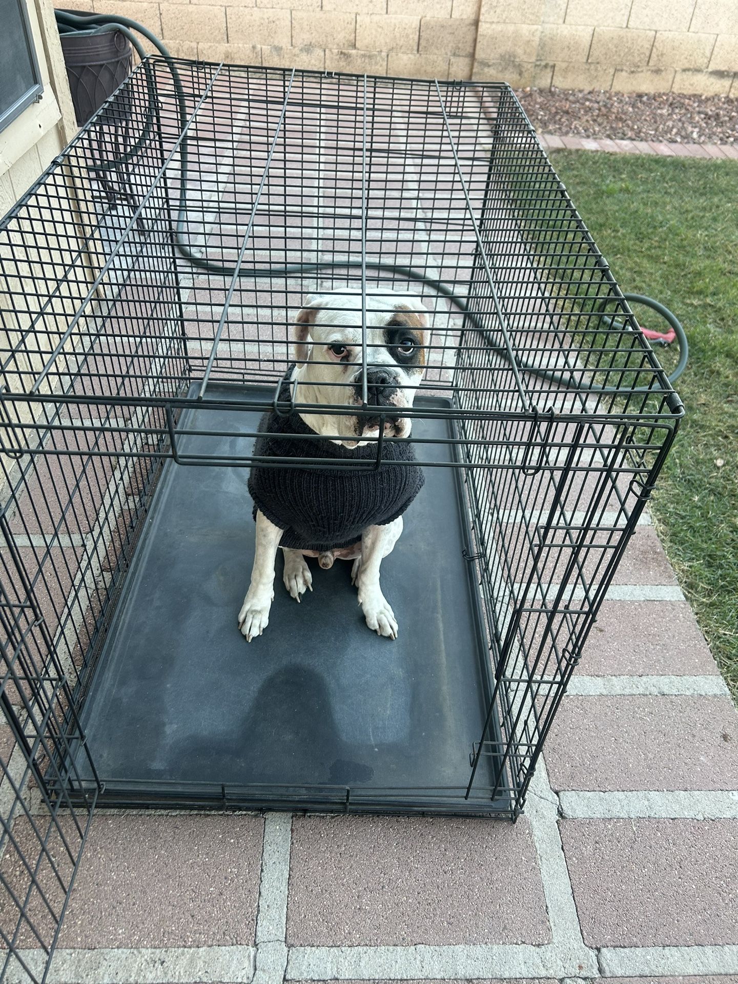 Dog Crate Kennel Extra Large 48” X 30” X 32”