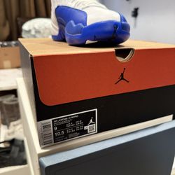 Jordan 12s blueberries
