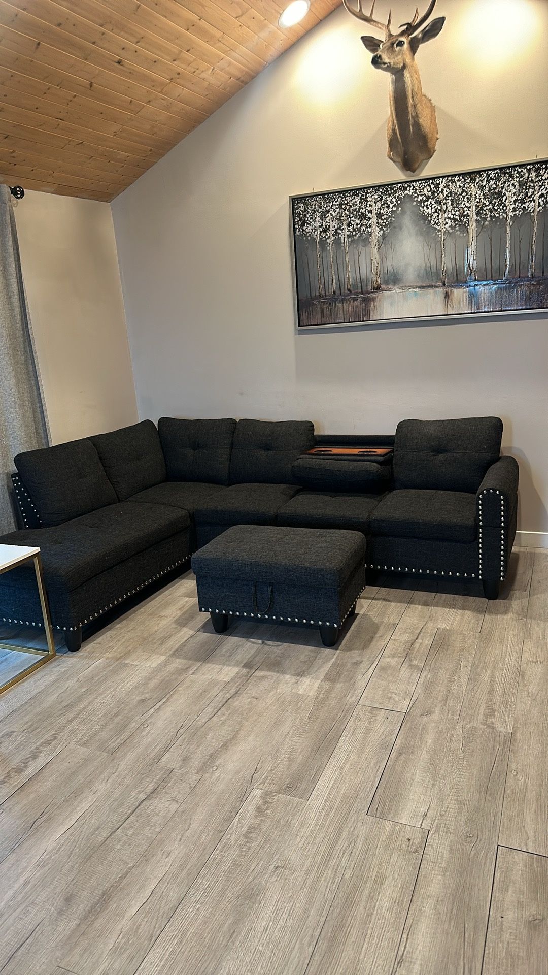 New Sectional Couch Set