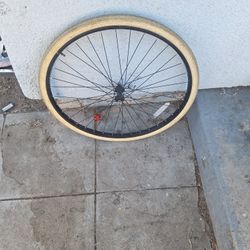 Bike wheel