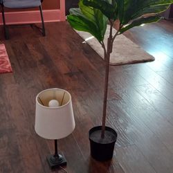 Small desk lamp and artificial fig plant 