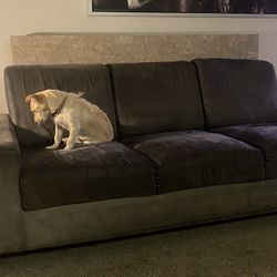 Grey Couch