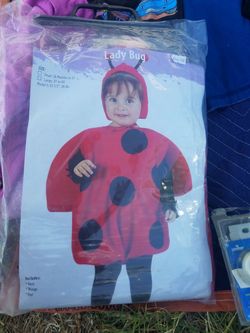 Lady Bug