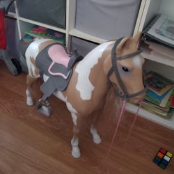 Our Generation Horse