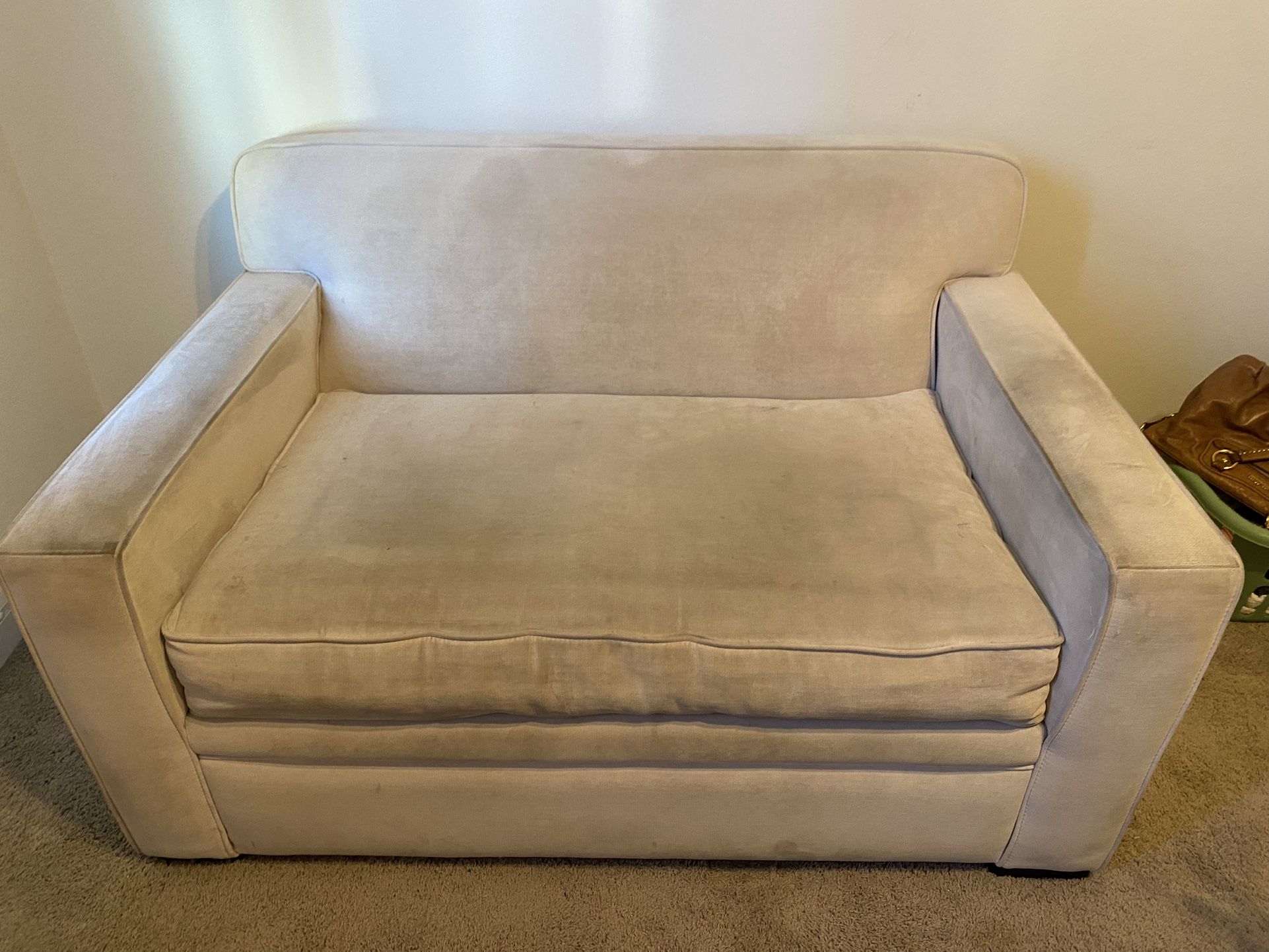 Loveseat Sleeper Sofa