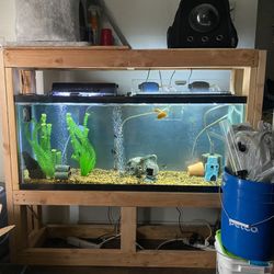 Selling 55 G Tank Stand + Tank