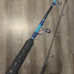 Seeker Tac  Custom Salt Water Fishing Rod. 