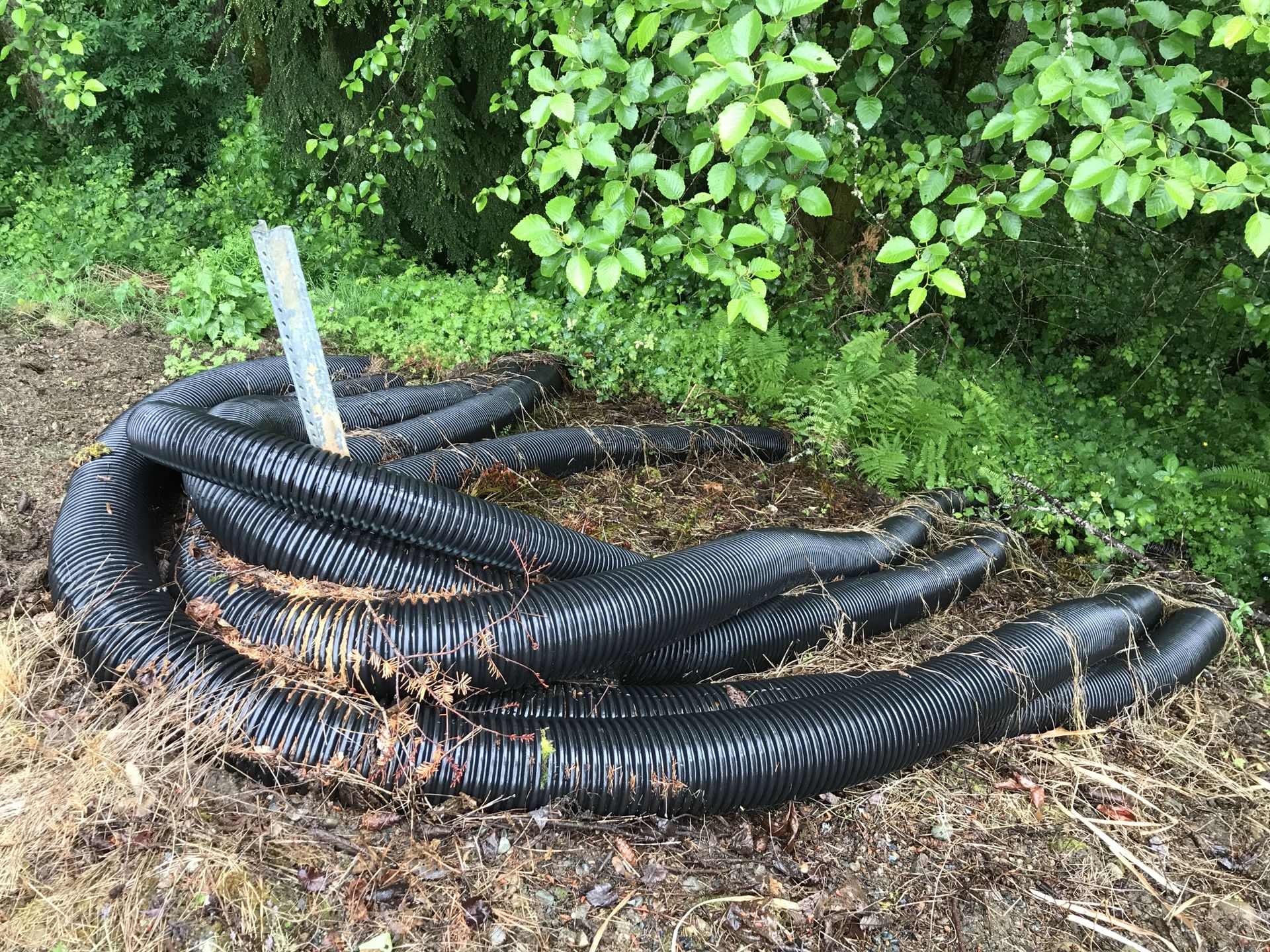 6 inch corrugated drain pipe - 6” SOLID for Sale in Renton, WA - OfferUp