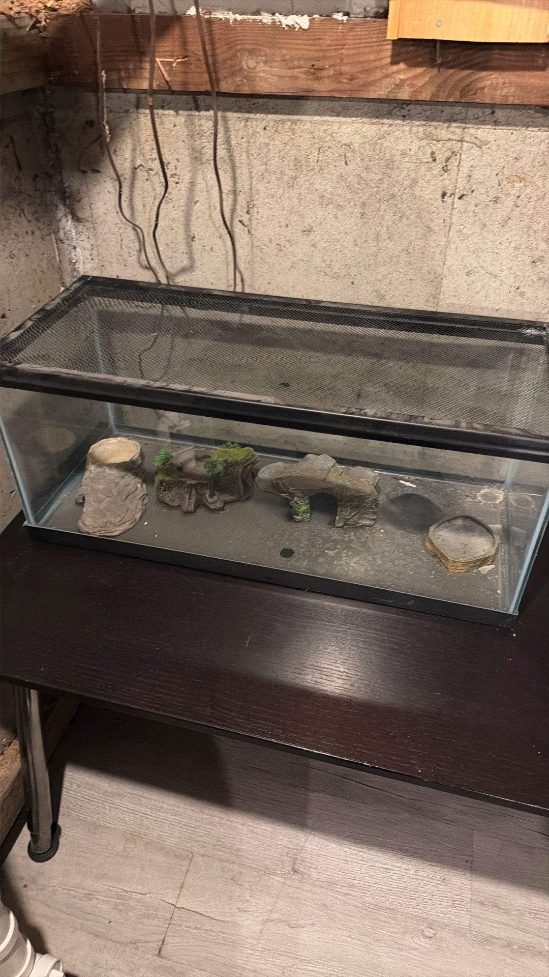 Reptile tank with water dishes and hideouts