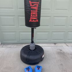 Everlast Omniflex Punching Bag with Stand & Gloves.
