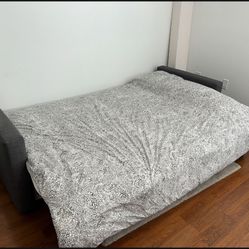 Sleeper Sofa For Sale