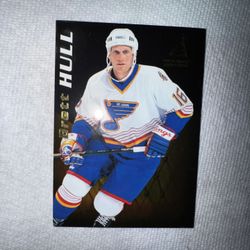 Brett Hull 