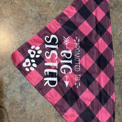 Medium/Large dog bandana. Promoted to Big Sister