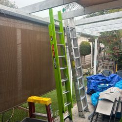 Little Giant Ladder New 