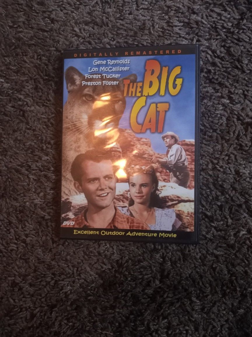 Dvd The Big Cat