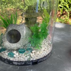 Small black fish tank