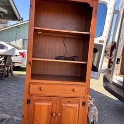 2 matching wooden bookshelves with built-in lighting