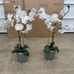 Pair Of Faux Orchids In Grey Green Ceramic Pots