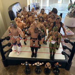 Wwe Wrestlers With Ring 