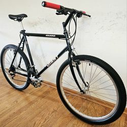 21spd XXL GIANT IGUANA All Terrain Touring Crossover Adventure MTB