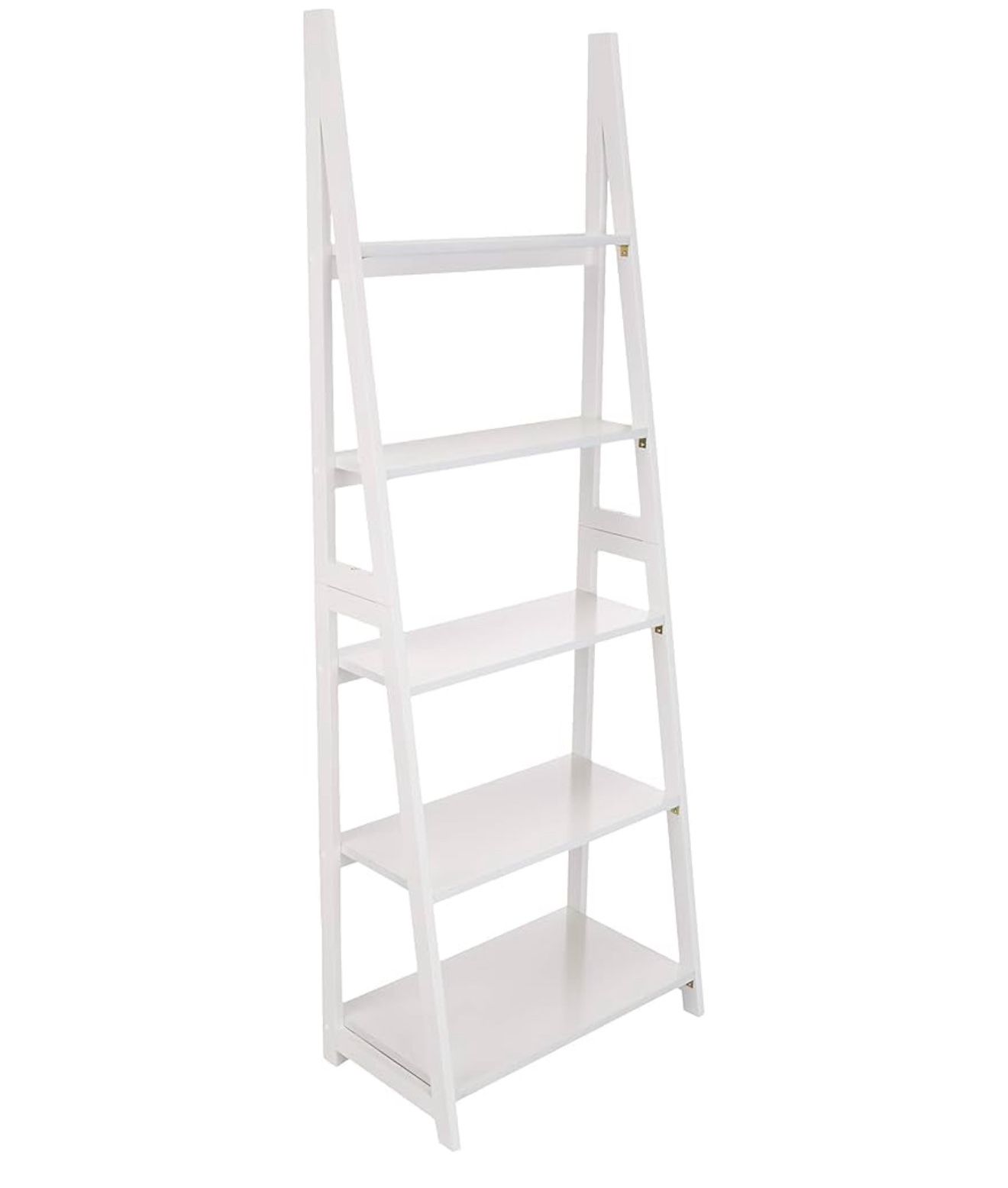 Ladder Book Shelf
