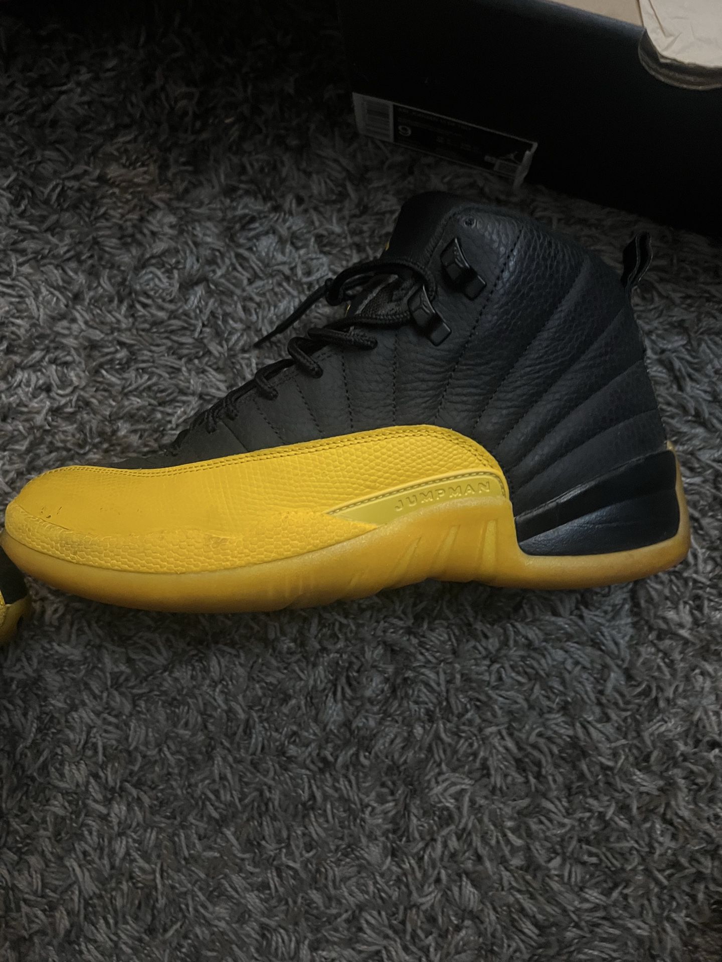 Jordan 12s retro