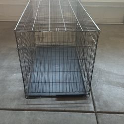 Dog Kennel 