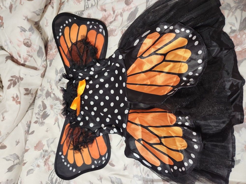 Monarch Butterfly Costume