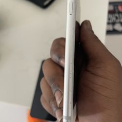 iPhone 7 