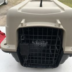 Dog/cat Csrrier Create