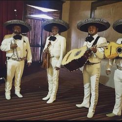 Moños De Mariachi