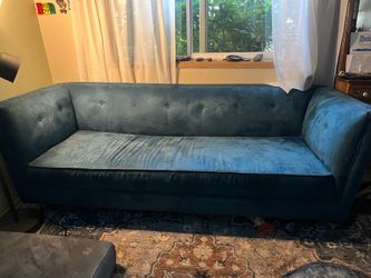 blue velvet couch
