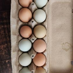Fresh Eggs