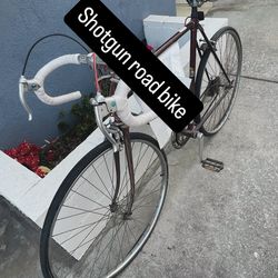 Road vintage bike shotgun