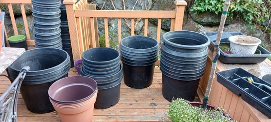 Black Plastic Pots. for Sale in Federal Way, WA - OfferUp