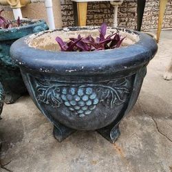 Concrete Carved Plant Pots – Timeless Garden Elegance!