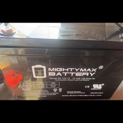 (2) Mighty Max ML-125-12V—125Ah 