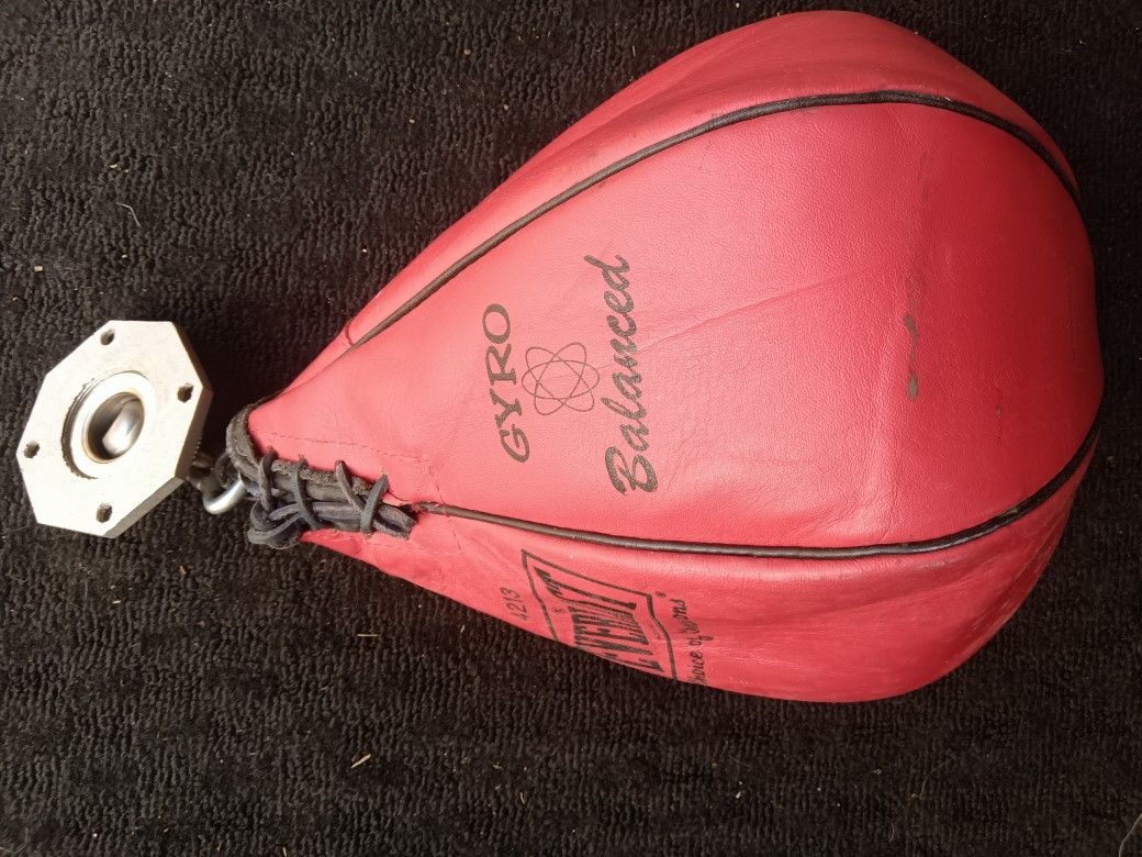Speed Bag Easy To Mount