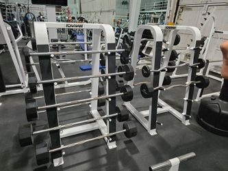 Iron Grip Fixed Straight And Fixed Curl Barbells Commercial Gym Equipment Icarian Storage Racks