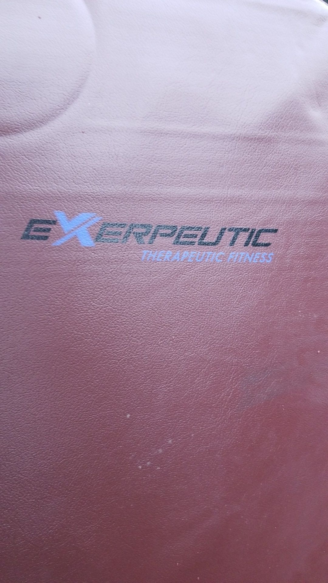 Exerpeutic therapeutic fitness NEW
