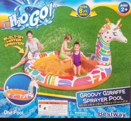 Giraffe Spray Pool
