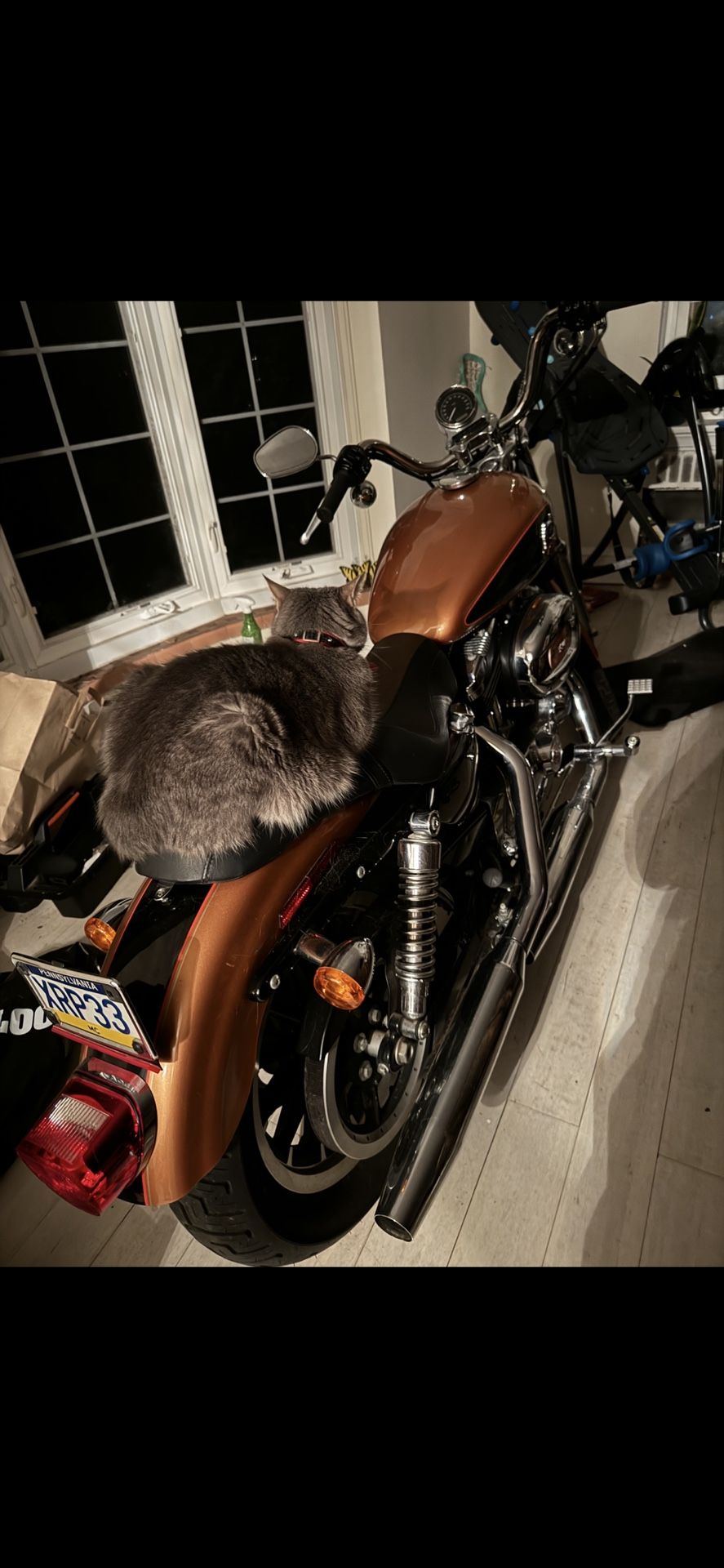 2009 Harley Davidson Soft tail
