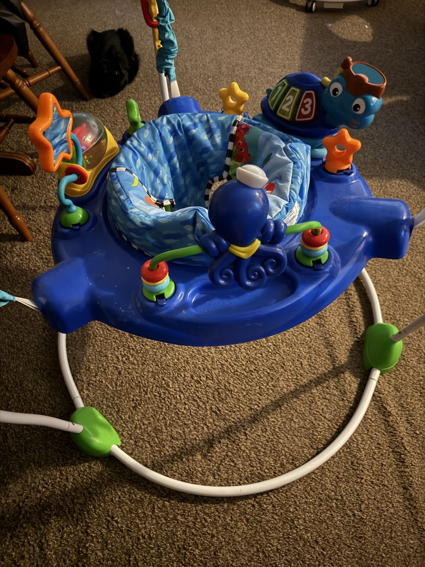 Baby Bouncer