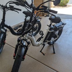 His and Hers Ebikes 