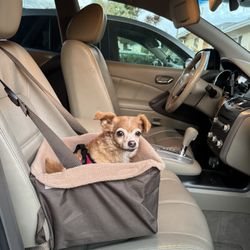Pet Car Seat 