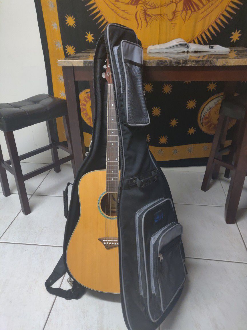 Acoustic guitar with case