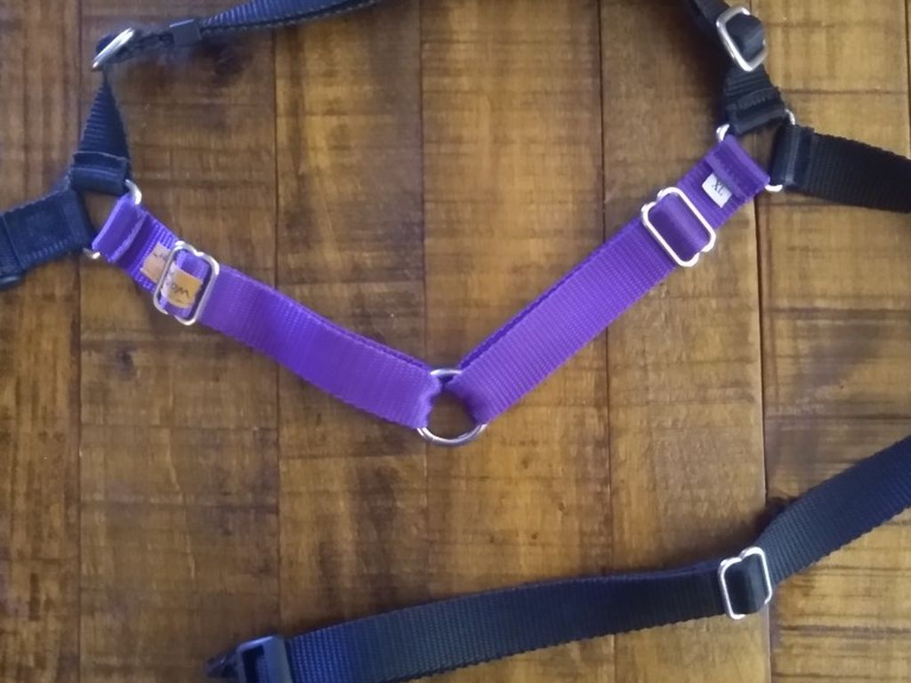 XL Wonder Walker Dog Harness (Purple & Black)