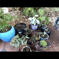 LOTS of Pots And Outside Decor