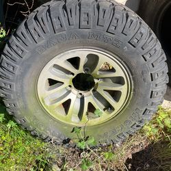 Tire In The Wheel 31/10.50/15LT