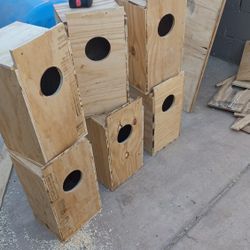 Nest Box